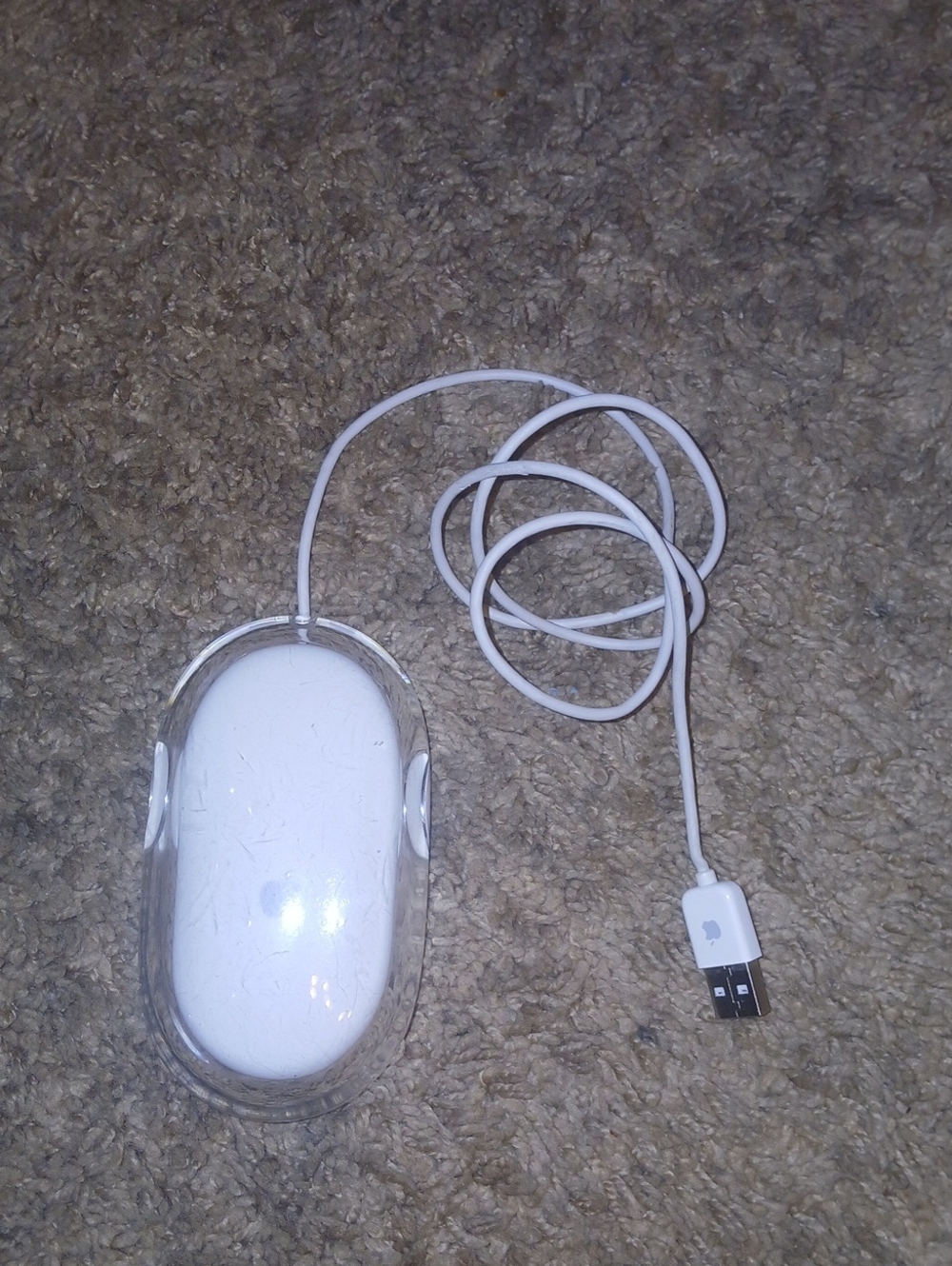 Apple Clear Shell White Wired USB Mouse